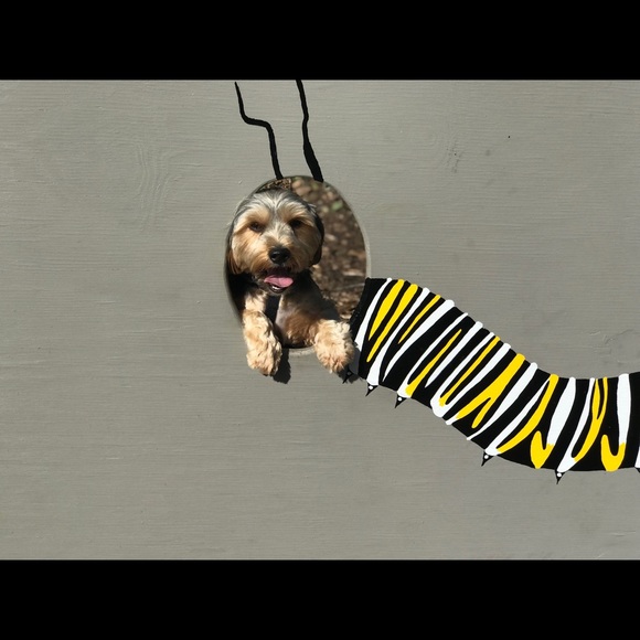 Meet your Posher, Roe - Picture 1 of 1